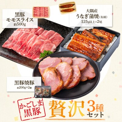 鹿児島県大隅産うなぎ2尾・黒豚モモスライス・黒豚焼豚2個セット　B02089