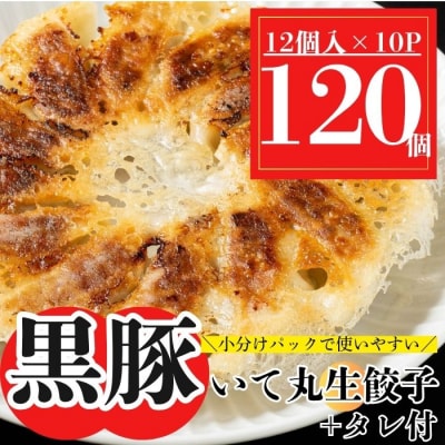 黒豚 餃子 合計120個(12個入×10P)タレ付き 国産野菜使用【財宝】 P43003