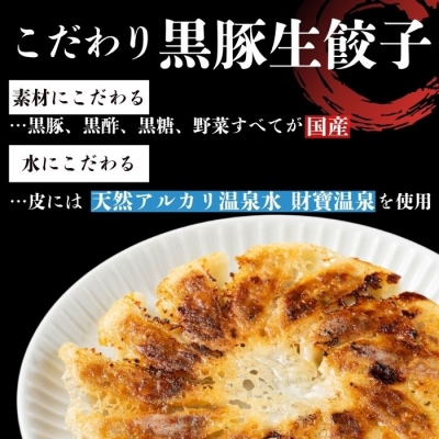 黒豚 餃子 合計120個(12個入×10P)タレ付き 国産野菜使用【財宝】 P43003