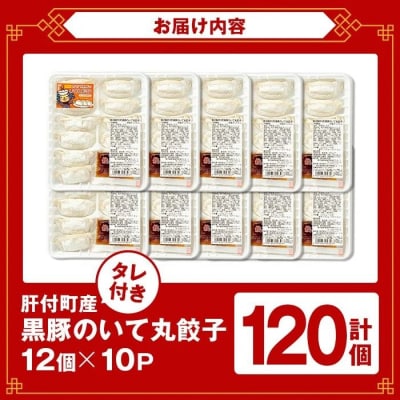 黒豚 餃子 合計120個(12個入×10P)タレ付き 国産野菜使用【財宝】 P43003