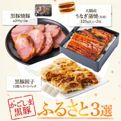 ふるさと3選(鰻 約150g、焼豚 約400g、 餃子 3パック)　B02105