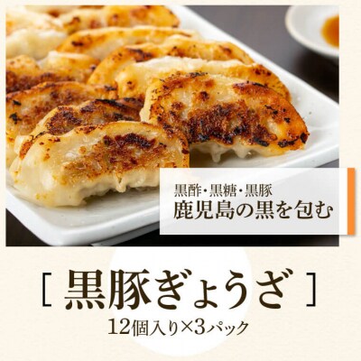 ふるさと3選(鰻 約150g、焼豚 約400g、 餃子 3パック)　B02105