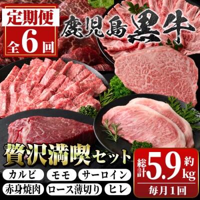 <定期便・全6回>鹿児島黒牛 満足定期便・贅沢満喫セット(全6種・合計5.9kg)　G01003 