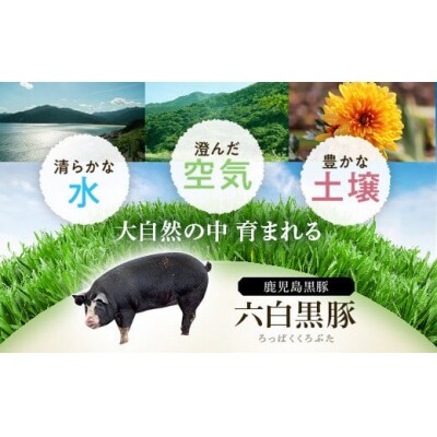 『かごしま黒豚ふるさと定期便』バラエティーセットB・5回　E02007