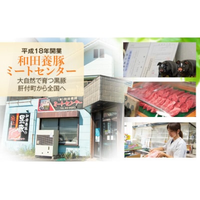 『かごしま黒豚ふるさと定期便』バラエティーセットB・5回　E02007