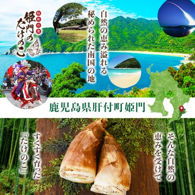 秘めの里　姫門のたけのこ　約10kg　E32001