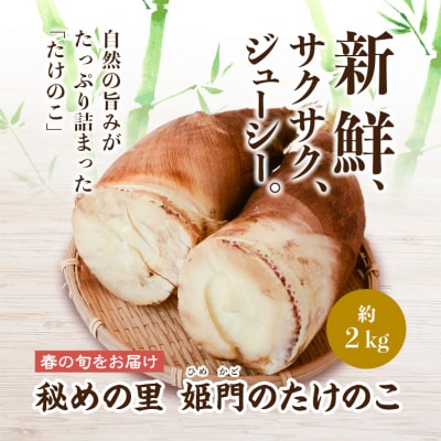 秘めの里　姫門のたけのこ　約2kg 　B32001