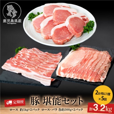 鹿児島県産豚厚切りステーキ&しゃぶしゃぶ三昧セット〈約16kg〉　E05041
