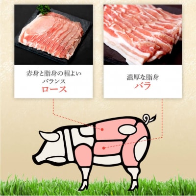 鹿児島県産豚厚切りステーキ&しゃぶしゃぶ三昧セット〈約16kg〉　E05041