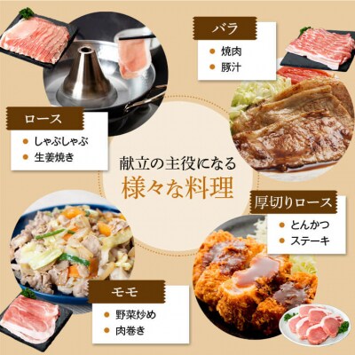 鹿児島県産豚厚切りステーキ&しゃぶしゃぶ三昧セット〈約16kg〉　E05041