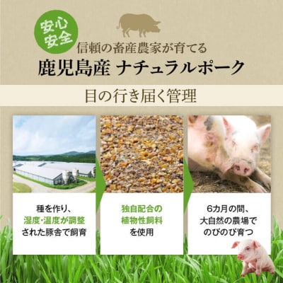 厚切り鹿児島県産豚ステーキ&豚ローススライス贅沢セット<約1.6kg>　A05056