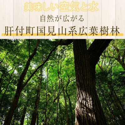 国産 西洋蜂蜜 生百花蜜 1.1kg　A51003