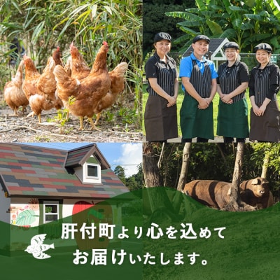 だいちの水(計40L・20Lペットボトル×2個)　B55001