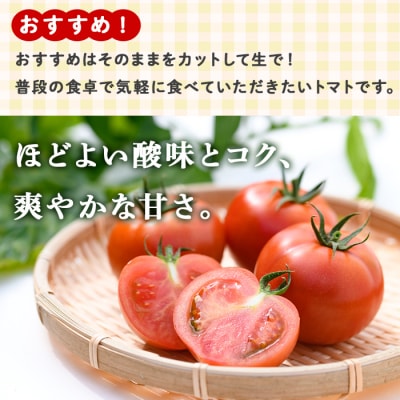 【先行受付】2月中旬以降発送!こだわり完熟トマト　P74002