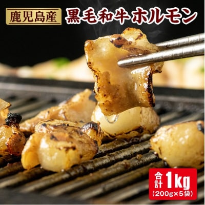 鹿児島産黒毛和牛ホルモン(合計1kg・200g×5袋) 【財宝】 A43088