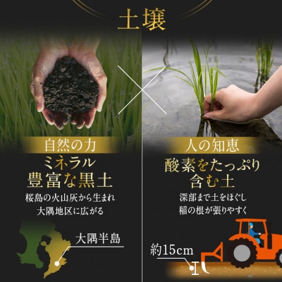 鹿児島県産　なつほのか(10kg)　A54005