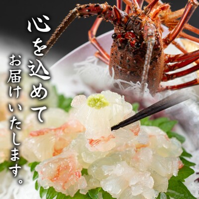 【活き〆冷凍】肝付町内之浦産　伊勢海老(えっがね)の刺身 (約450g)　B47004
