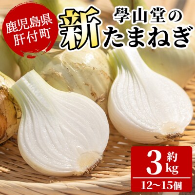 畑から台所へ直行便!學山堂の新玉ねぎ(計3kg 12〜15個)　P69001