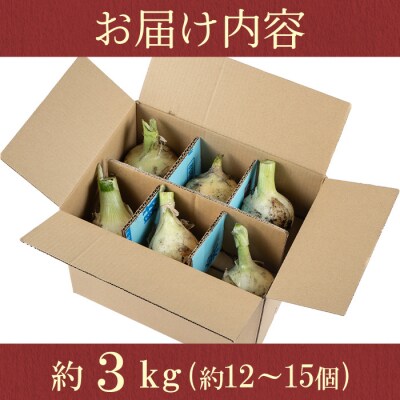 畑から台所へ直行便!學山堂の新玉ねぎ(計3kg 12〜15個)　P69001