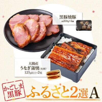 ふるさと2選A(うなぎ 約125g×2尾、焼豚 約200g×4個)　B02103