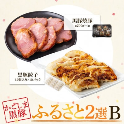 ふるさと2選B(焼豚 約200g&times;4個、 餃子 12個入&times;10パック) B02104