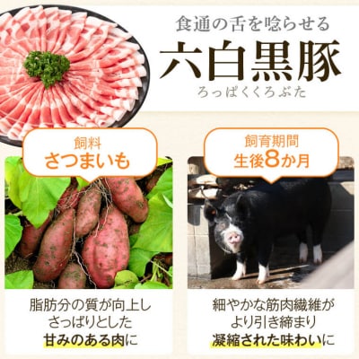 ふるさと2選B(焼豚 約200g×4個、 餃子 12個入×10パック)　B02104