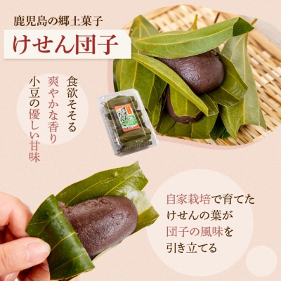 郷里の銘菓セット やぶさめの里 ブッセ 10個 けせん団子 15個 大福 15個　B45031