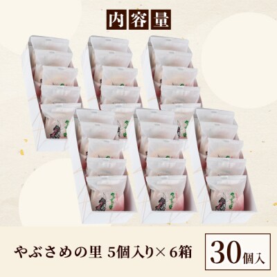 銘菓『やぶさめの里』 ブッセ 30個(5個入×6箱)　B45032