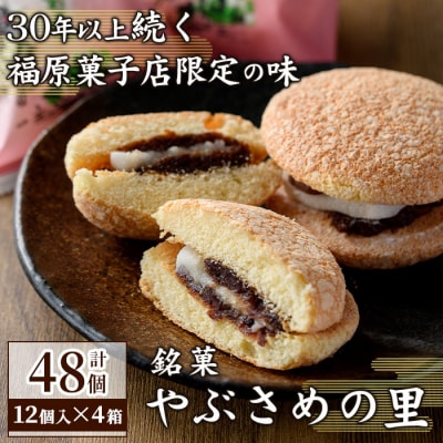 数量限定!中学生考案ロゴデザインパッケージ!銘菓『やぶさめの里』(12個入×4箱)　C45032