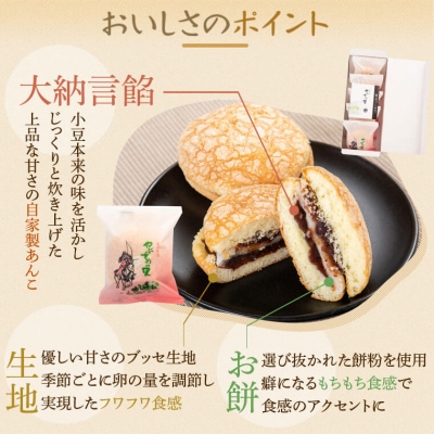 数量限定!中学生考案ロゴデザインパッケージ!銘菓『やぶさめの里』(12個入×4箱)　C45032