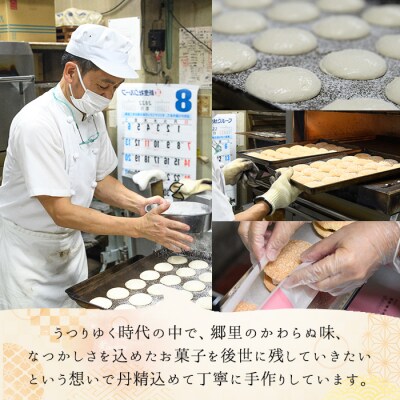 数量限定!中学生考案ロゴデザインパッケージ!銘菓『やぶさめの里』(12個入×4箱)　C45032