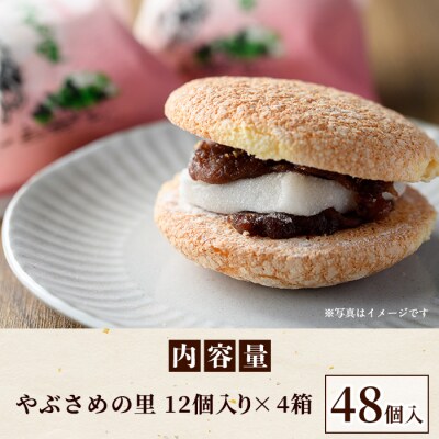 数量限定!中学生考案ロゴデザインパッケージ!銘菓『やぶさめの里』(12個入×4箱)　C45032