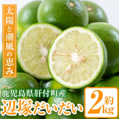 <先行受付!2025年9月中旬以降発送!>辺塚だいだい 青果 2kg 　P20001