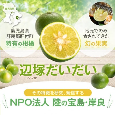 <先行受付!2025年9月中旬以降発送!>辺塚だいだい 青果 2kg 　P20001
