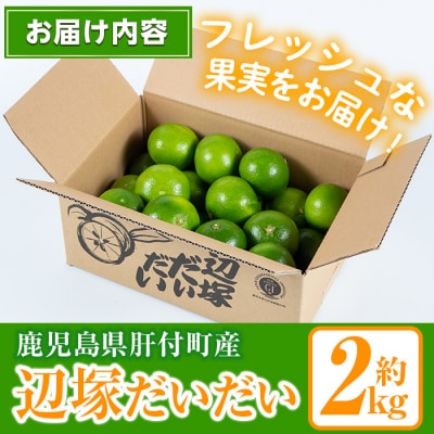 <先行受付!2025年9月中旬以降発送!>辺塚だいだい 青果 2kg 　P20001