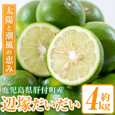 <先行受付!2025年9月中旬以降発送!>辺塚だいだい 青果 4kg　 P20002