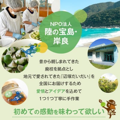 <先行受付!2025年9月中旬以降発送!>辺塚だいだい 青果 4kg　 P20002