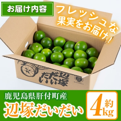 <先行受付!2025年9月中旬以降発送!>辺塚だいだい 青果 4kg　 P20002