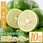 <先行受付!2025年9月中旬以降発送!>辺塚だいだい 青果 10kg　A20008