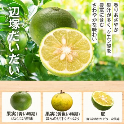 辺塚だいだい 青果 10kg　A20008
