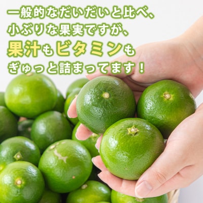 <先行受付!2025年9月中旬以降発送!>辺塚だいだい 青果 10kg　A20008