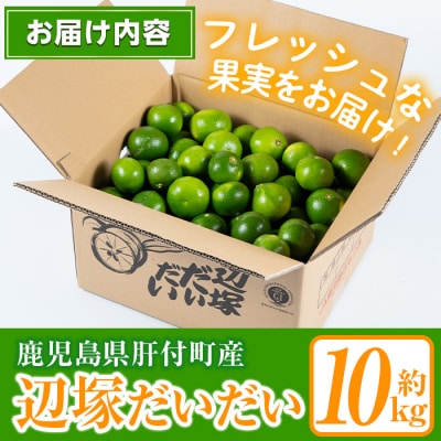 <先行受付!2025年9月中旬以降発送!>辺塚だいだい 青果 10kg　A20008