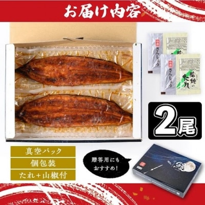 うなぎ蒲焼・大(有頭)(2尾・計330g以上、タレ、山椒付)　A57002