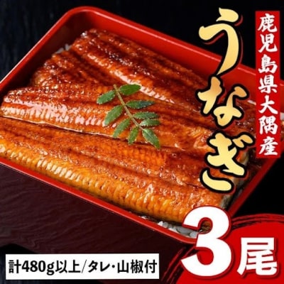  うなぎ蒲焼・大(有頭)(3尾・計480g以上、タレ、山椒付) 　B57002