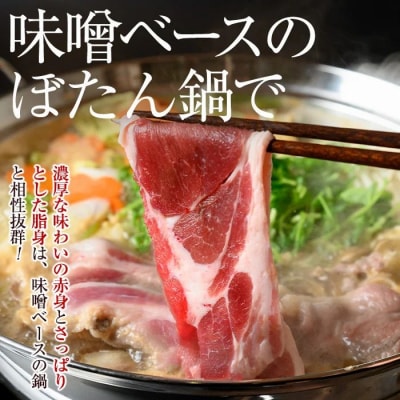 天然イノシシ肉!鍋物用(500g×2P・計1kg)　A59001