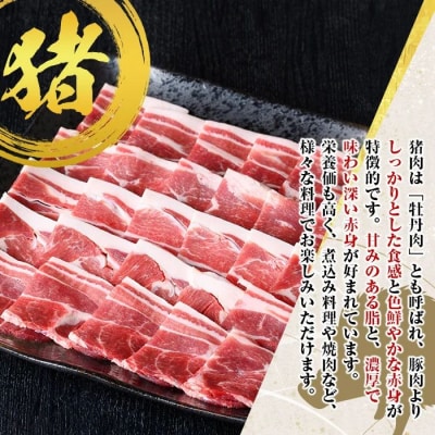 天然イノシシ肉!焼肉鉄板焼用(500g×2P計1kg)　A59003