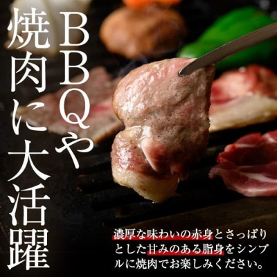 <2025年10月以降発送予定>天然イノシシ肉!焼肉鉄板焼用(500g×2P計1kg)　A59003