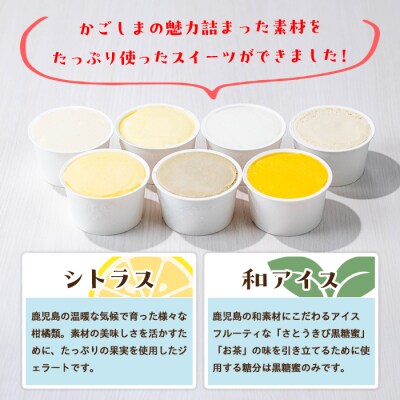 南のくだもの王国　「南のフレバー◎ ジェラート 」セット(13種16個入)　B83001