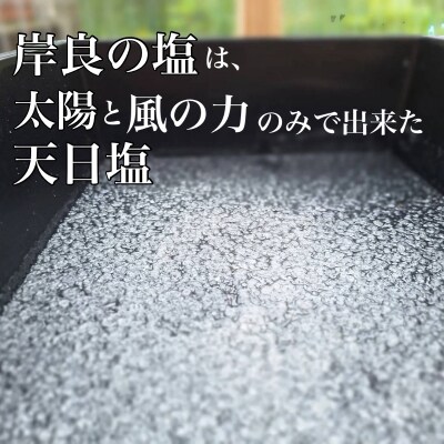 できたひこ出来た塩　岸良の塩(100g) 天日塩　P60003