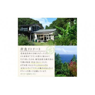 できたひこ出来た塩　岸良の塩(100g) 天日塩　P60003